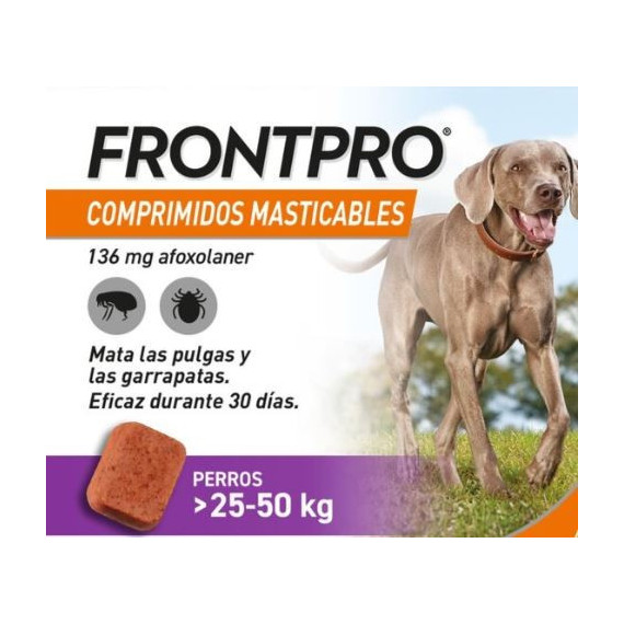 Frontpro 136 Mg 25-50 Kg 1 Comprimido  BOEHRINGER INGELHEIM
