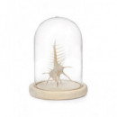 KIKKERLAND OR84-L Cristal de Campana con Base de Madera Grande