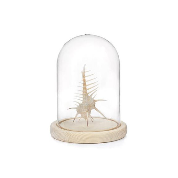 KIKKERLAND OR84-L Cristal de Campana con Base de Madera Grande