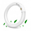 Extrastar Tubo Circular Luz Fria 6400K 1050LM T9-22W 208MM  LALO