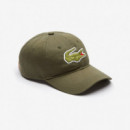 Casquette Verde  LACOSTE
