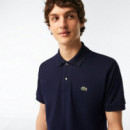 Chemise Col Bord-cotes Manches Courtes M  LACOSTE