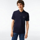 Chemise Col Bord-cotes Manches Courtes M  LACOSTE
