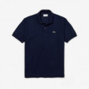 Chemise Col Bord-cotes Manches Courtes M  LACOSTE