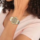 Reloj Tommy Lexi Bicolor  TOMMY HILFIGER