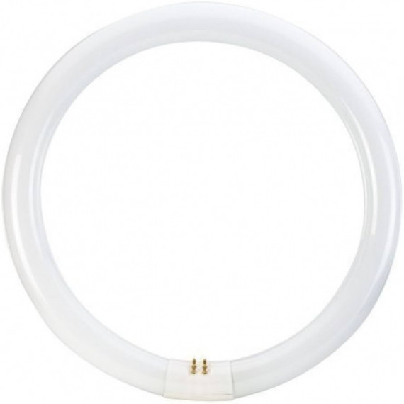 Fluorescente Circular  32 W