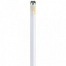 Fluorescente 18W 6500K