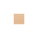 SHISEIDO Synchro Skin Self Refreshing Concealer