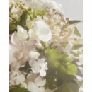 CACHAREL Noa Eau de Toilette