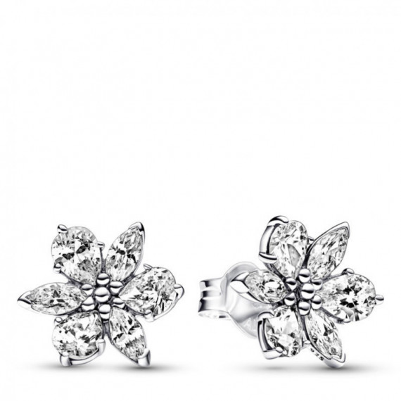 PANDORA Pendientes de Botón Herbario Brillante 292633C01
