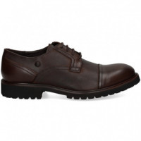 Blucher Partido Pixel Negro  AEROPLANE