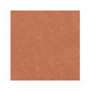 SHISEIDO Technosatin Gel Lipstick