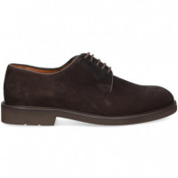 Blucher ante Moka  LOTTUSSE