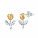 Pendientes plata 925