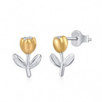 Pendientes plata 925