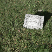 Neceser Perros sin Fronteras  SABINA