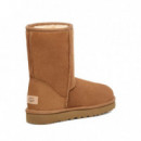 Bota Classic Short Ii Chestnut - UGG