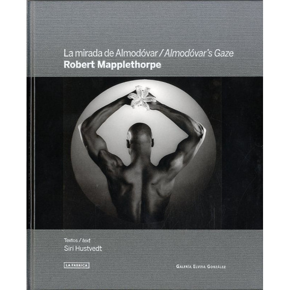 la Mirada de Almodã³var