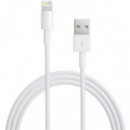 Apple Cable Lightning 2MTS  APPLE