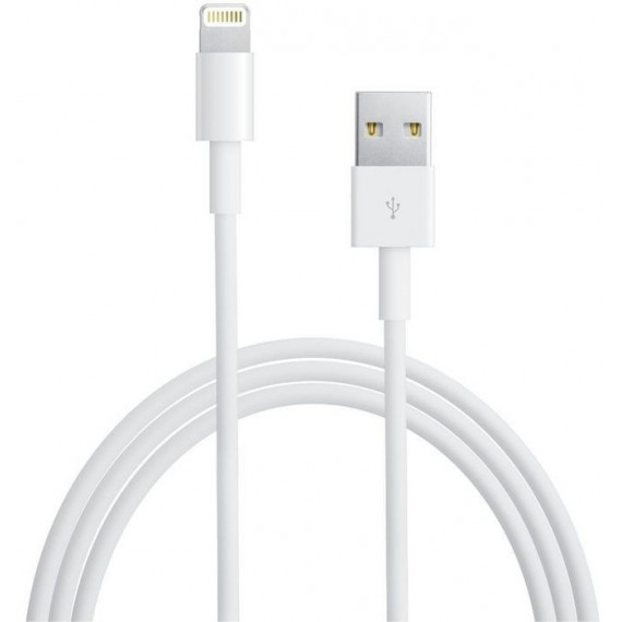 Apple Cable Lightning 2MTS  APPLE