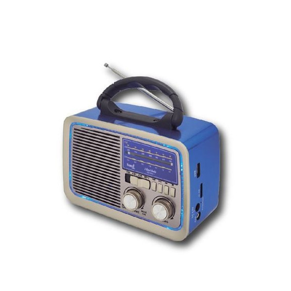 Radio Am/fm con Altavoz y Antena DAEWOO DW1037 Plata