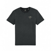 As Many Reps As Possible  THUNDERNOISE