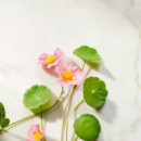 The Ritual Of Namaste Firming Day Cream Refill  RITUALS