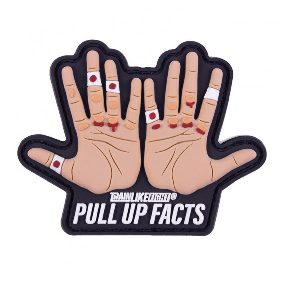 Pull Up Facts  TRAIN LIKE FIGHT