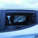 Fiat Full BACK4PTA 2016/L-200 4PTA 2016,CORTAVIENTOS Delanteros y Traseros  FARAD