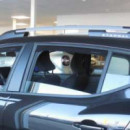 Dacia Duster 2018-2023,CORTAVIENTOS Delanteros y Traseros  FARAD