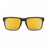 Gafas OAKLEY Holbrook