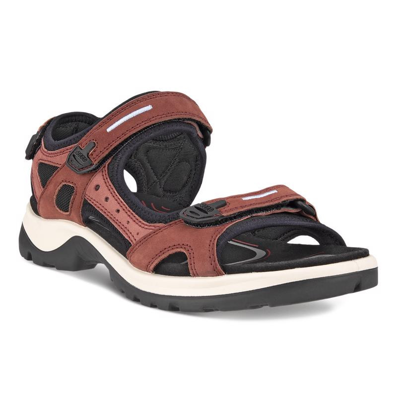 Sandalias ECCO Offroad Yocatan W Guanxe Atlantic Marketplace