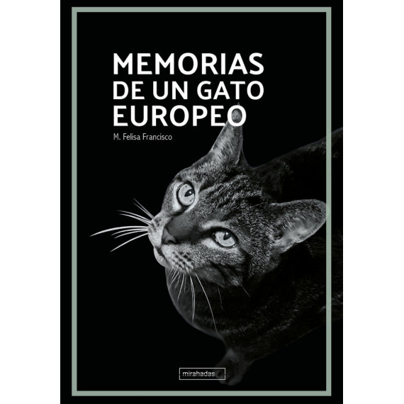 Memorias de un Gato Europeo