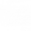 Termómetro A-110/0-100C 63X10MM R3/8