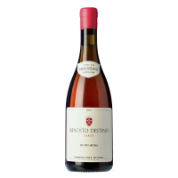 BENDITO DESTINO Clarete 2021 - 75CL