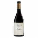 Cifras 2021 - 75CL  BODEGAS EXEO