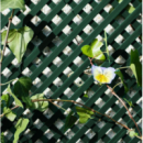 Celosía Enrasada Pcv Verde - Dimensión 240 X 120 Cm -