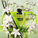 VALENTINO Born In Roma Donna Green Eau de Parfum