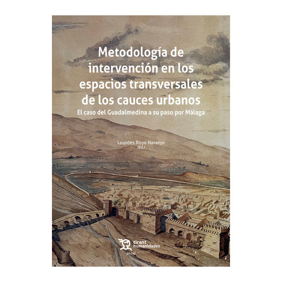 Metodologia de Intervencion en los Espacios Transversales de