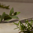 THE BODY SHOP Wellness Exfoliante Corporal Breathe, 200ML