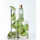 LOEWE Aire Sutileza Eau de Toilette