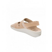 Sholl Zapato Antonia Sandal  SCHOLL