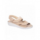 Sholl Zapato Antonia Sandal  SCHOLL