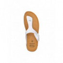 Sholl Zapato Boa Vista Up  SCHOLL