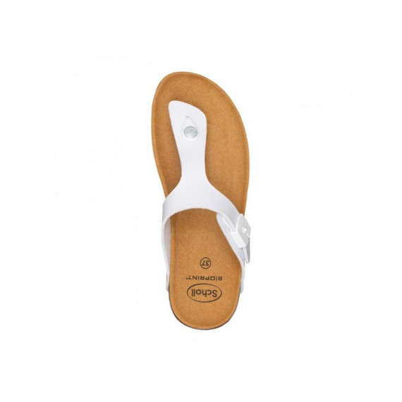 Sholl Zapato Boa Vista Up  SCHOLL