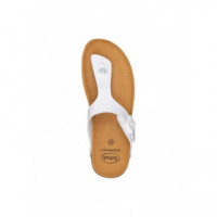 Sholl Zapato Boa Vista Up  SCHOLL