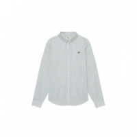 Polos Camisa POMPEII Pine Stripes Emilio