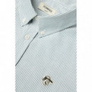 Polos Camisa POMPEII Pine Stripes Emilio