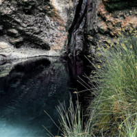 ADOLFO DOMINGUEZ Agua Fresca Lima Tonka Eau de Toilette