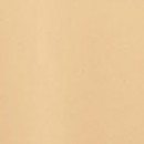 SHISEIDO Revitalessence Skin Glow